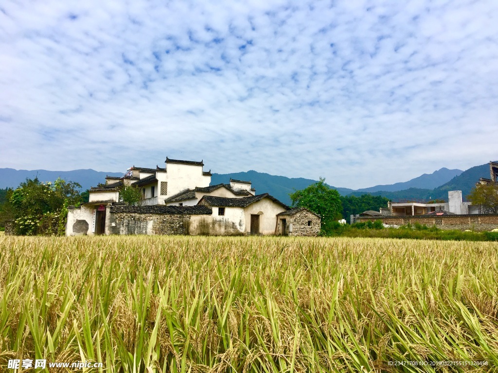 稻田乡村