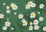 矢量花纹