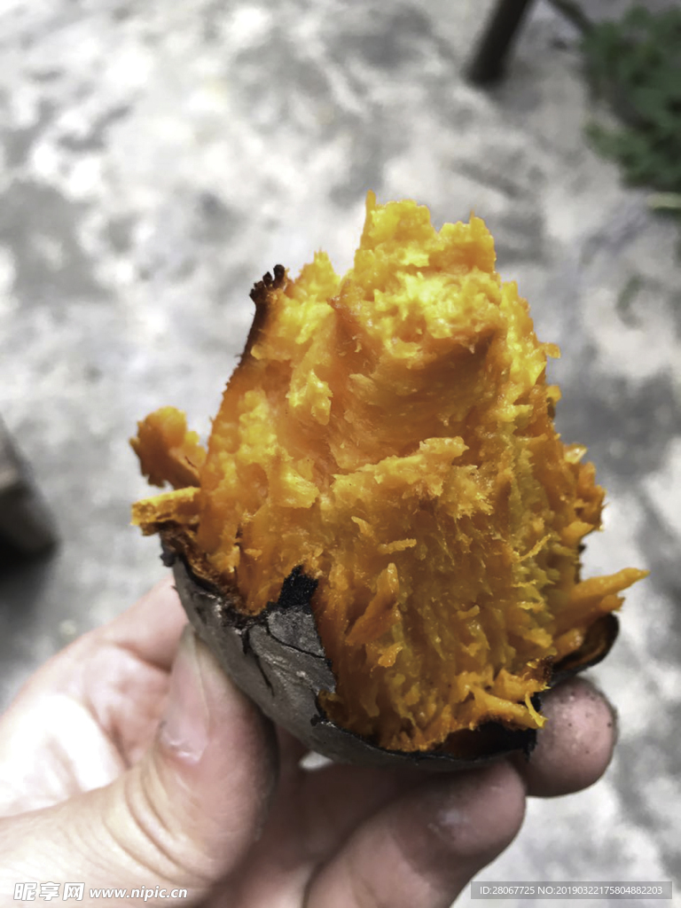 烤红薯