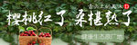 樱桃红了 桑葚熟了