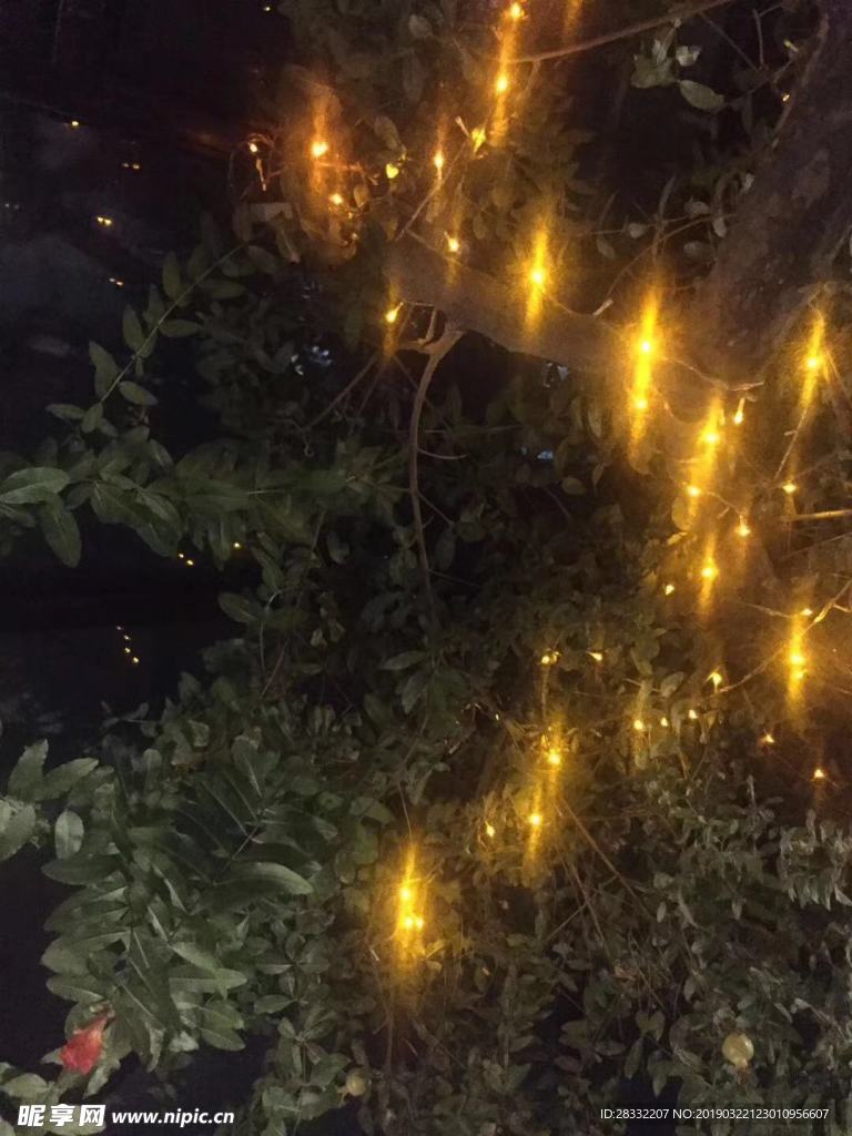 星光