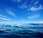 大海