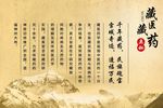 藏奥堂医学