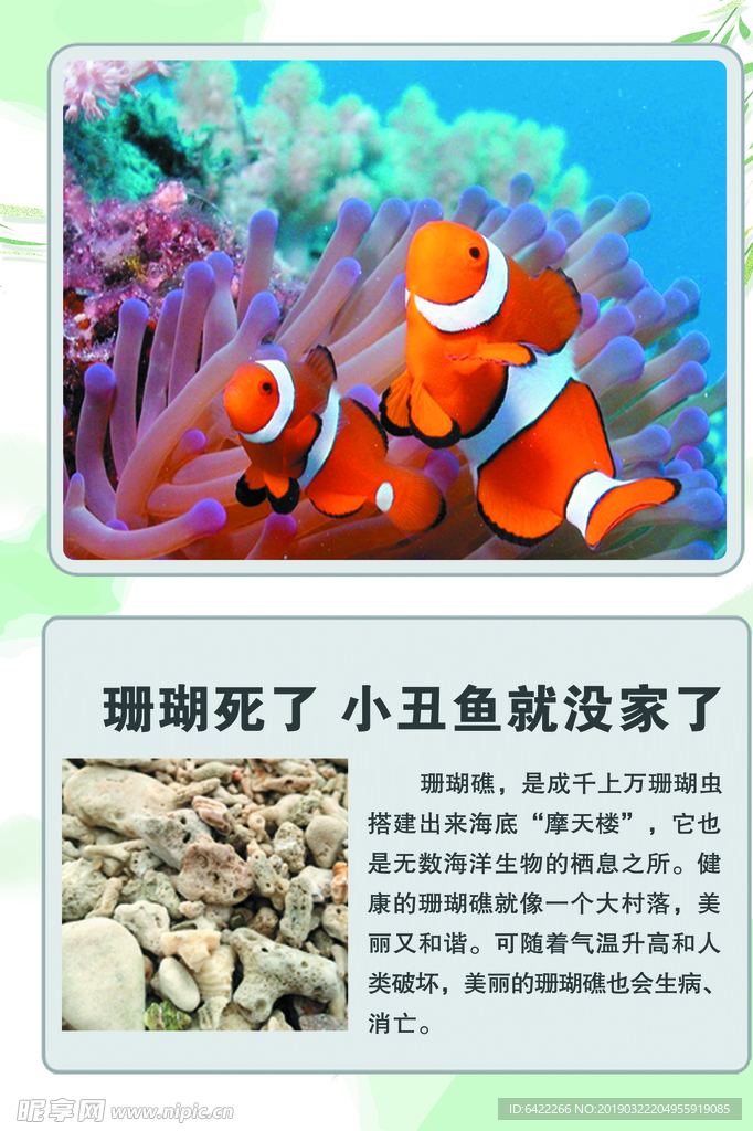 科普 展板 海洋动物海洋生物