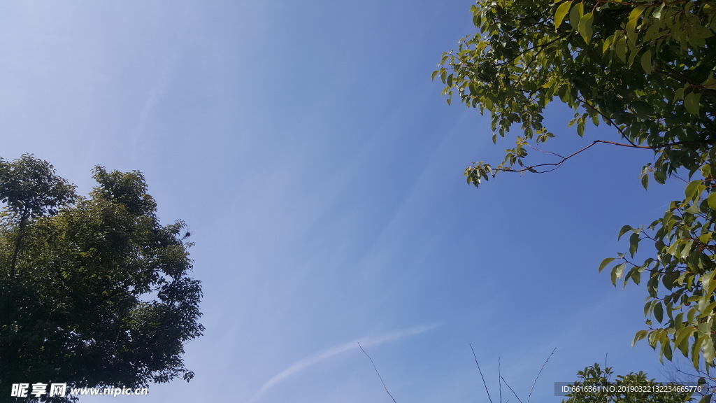 蓝天