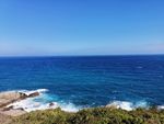 大海