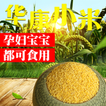 华康小米主图