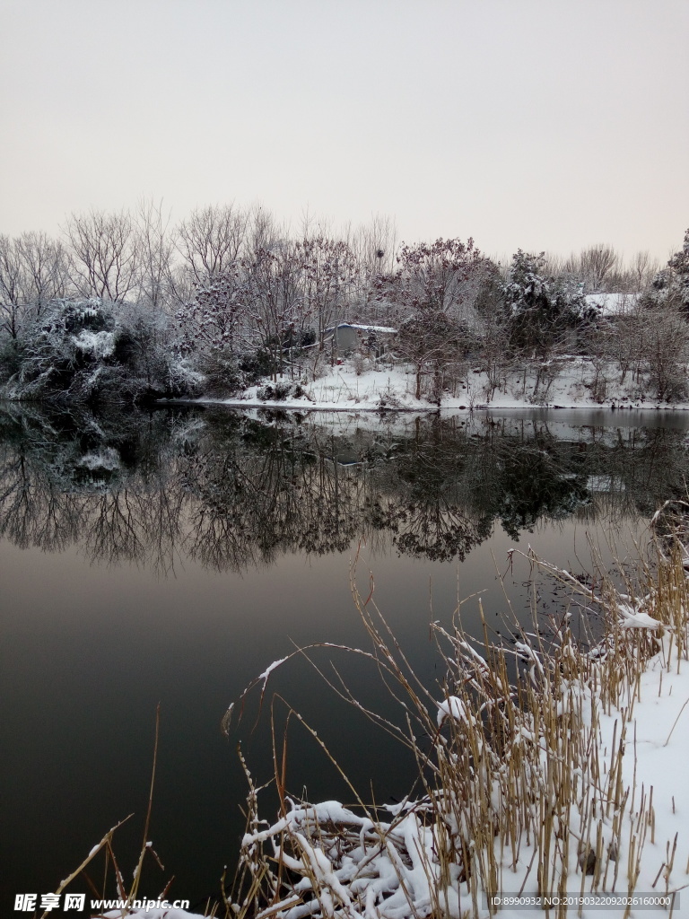 雪景