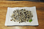黑豆芽