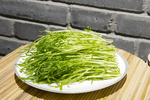 松柳苗