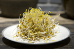 扁豆芽
