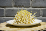 扁豆芽