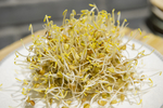 扁豆芽