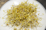 扁豆芽