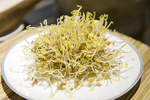 扁豆芽