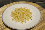 黄豆芽