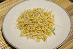 黄豆芽