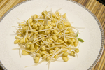 黄豆芽