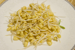 黄豆芽
