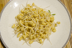 黄豆芽