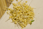 黄豆芽