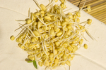 黄豆芽