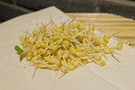 黄豆芽
