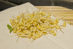 黄豆芽
