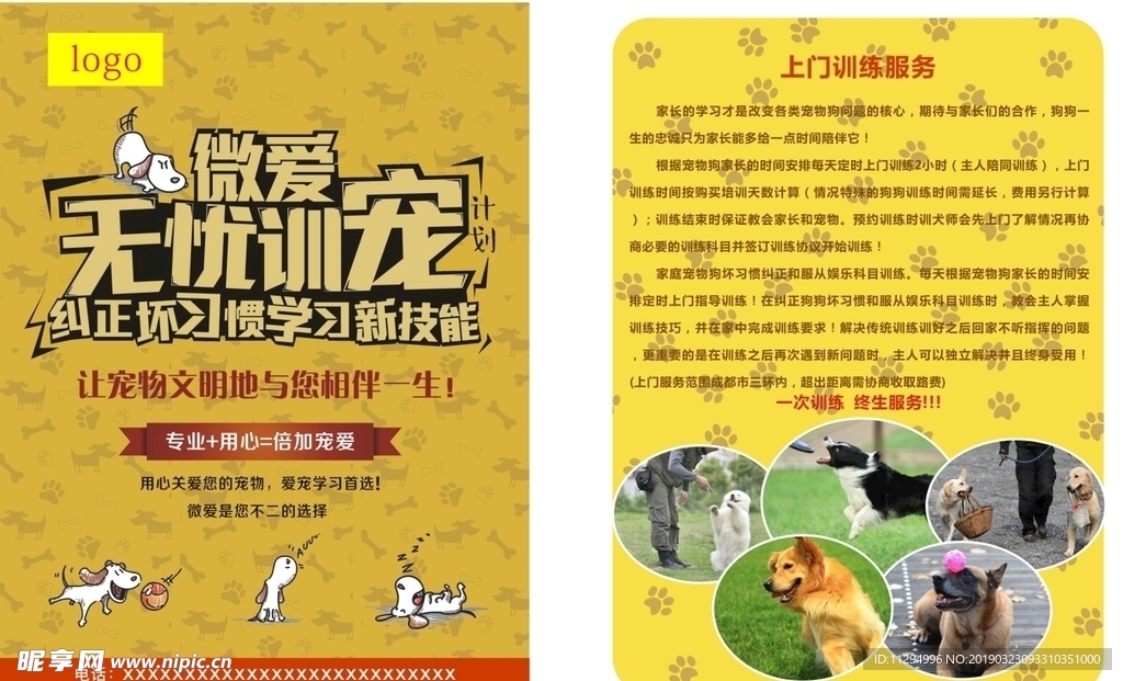宠物训练