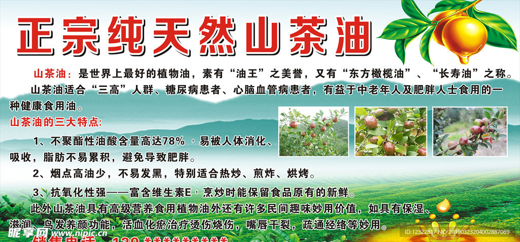 正宗山茶油