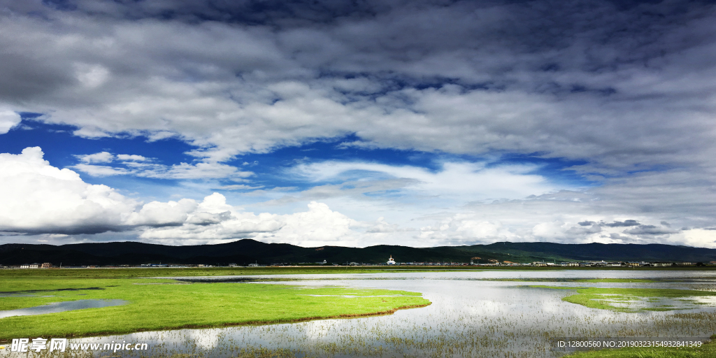 湿地