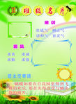 班级名片