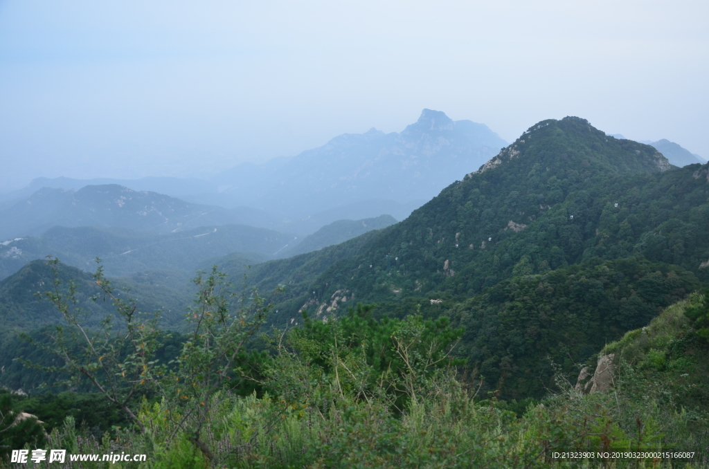 泰山