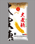 大麦穗 小麦种子