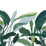 树叶素材