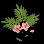 花卉