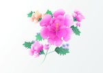 花卉