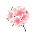 小花