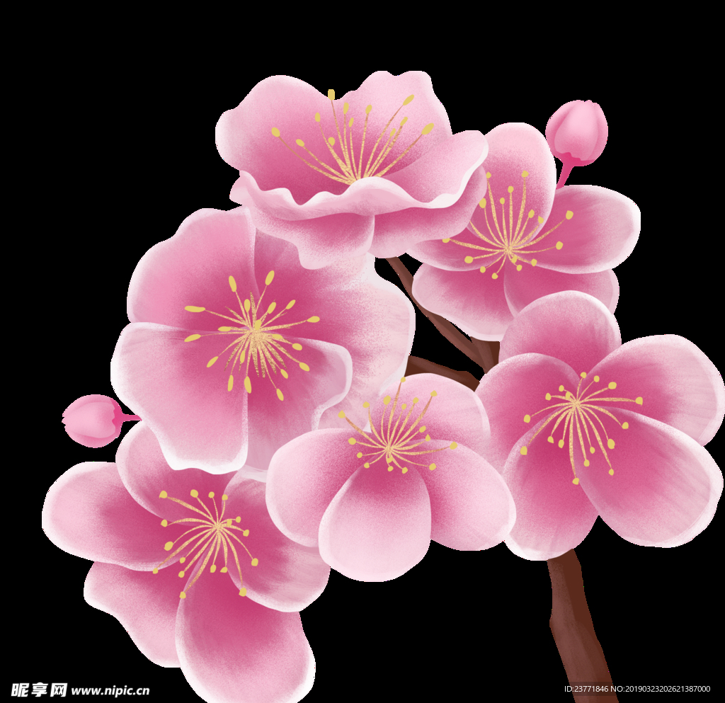 花朵