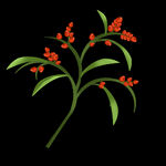 装饰花草