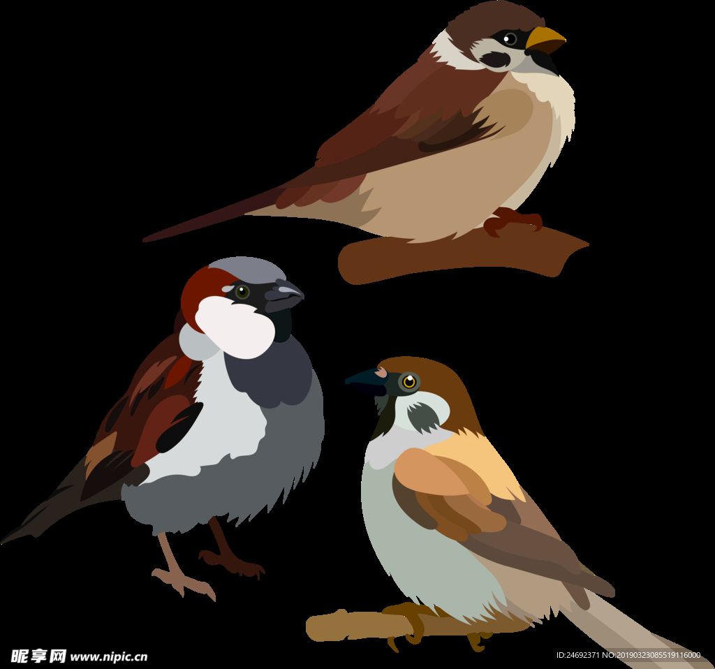 矢量 小鸟