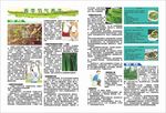 春季节气养生
