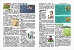 清明养生海报
