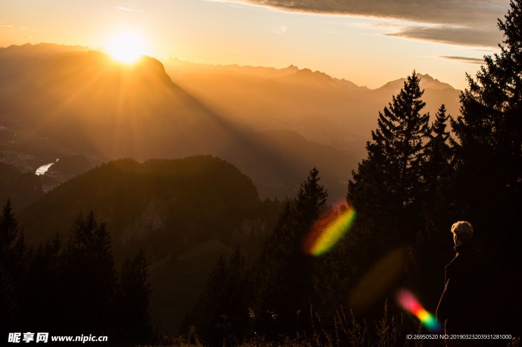 山