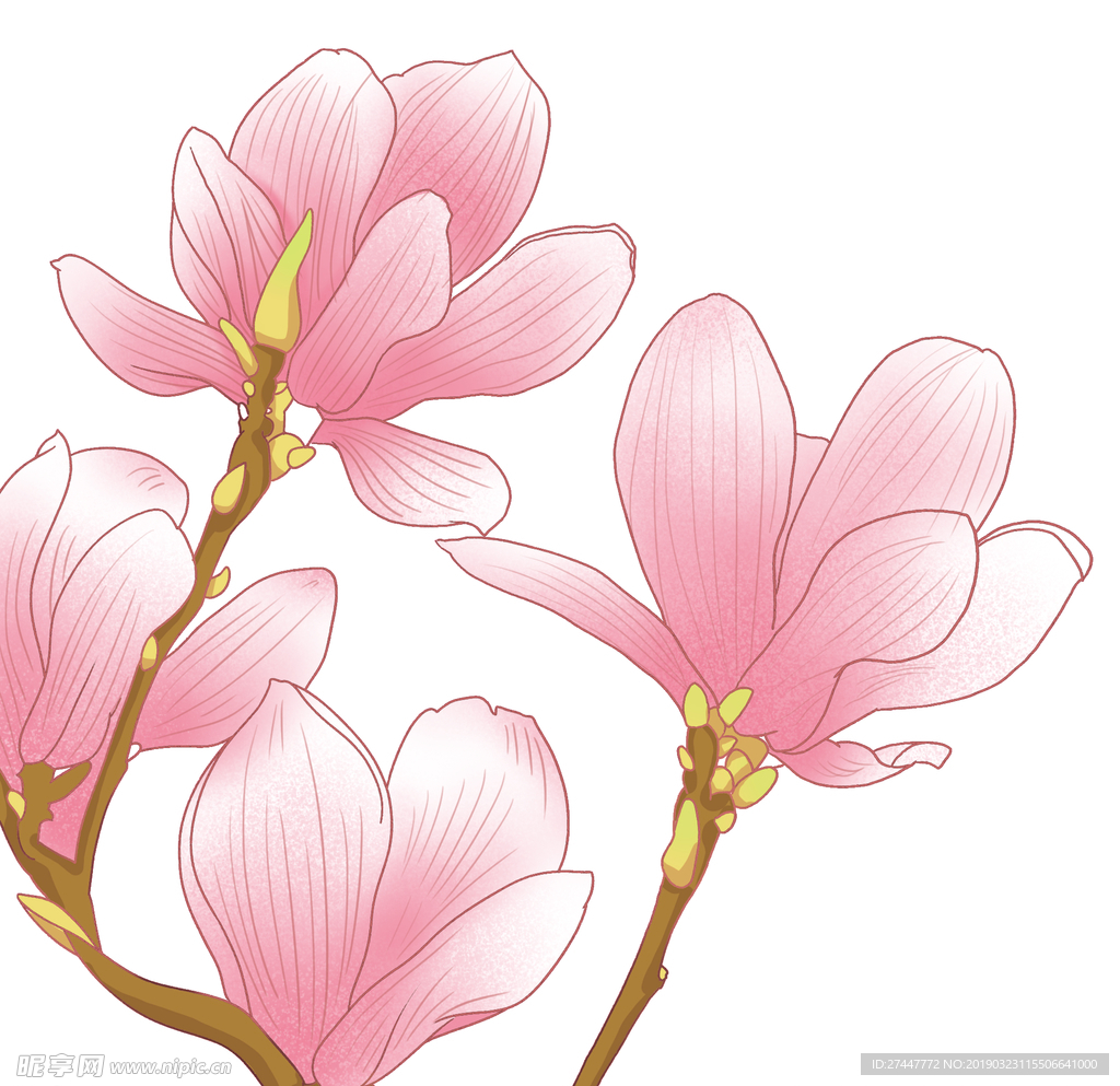 水彩花