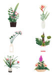 卡通绿色植物