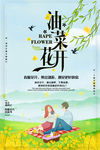 油菜花