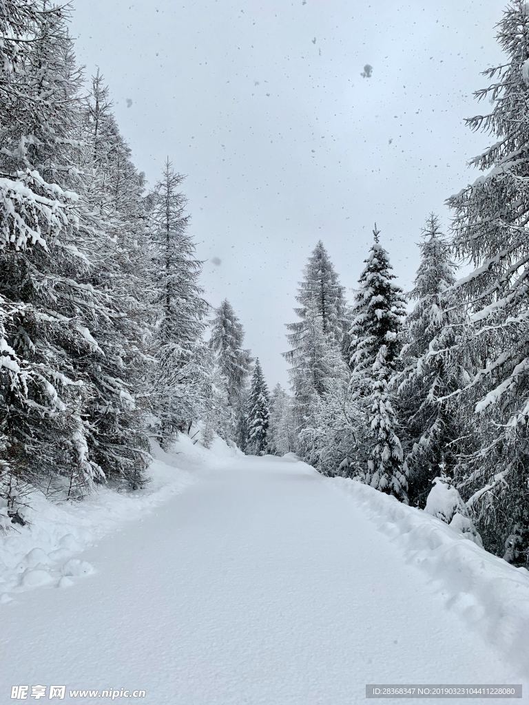 山林雪景