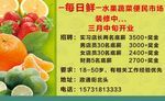 每日鲜 招聘 喷绘 水果 蔬菜