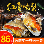 主图